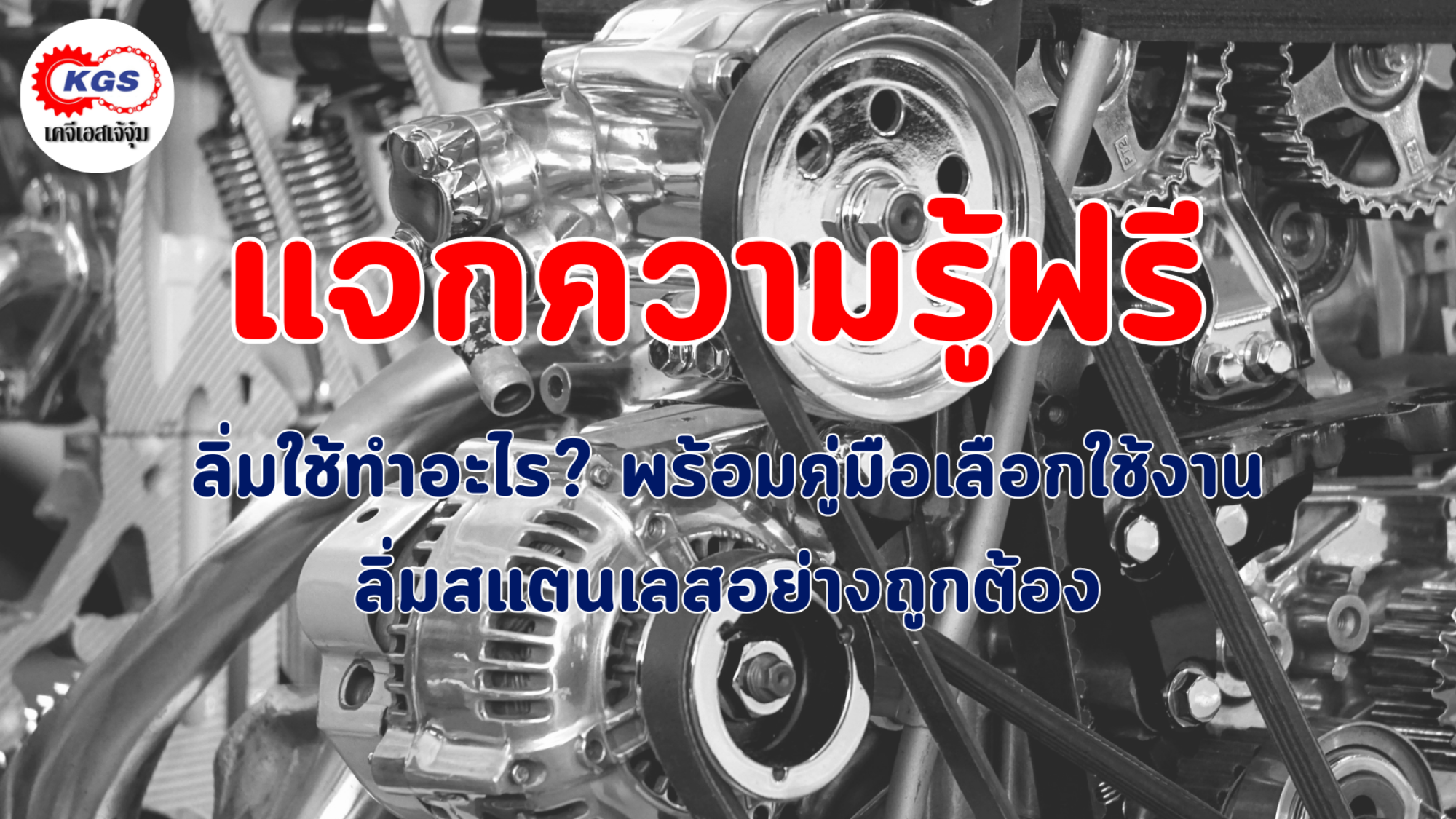 ลิ่มสแตนเลส