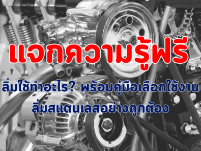 ลิ่มสแตนเลส